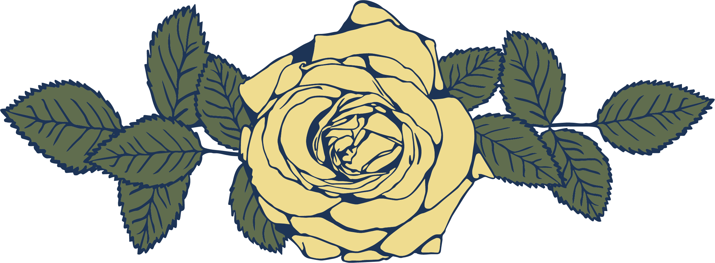 Vector drawing of a faded yellow rose and faded green leaves.